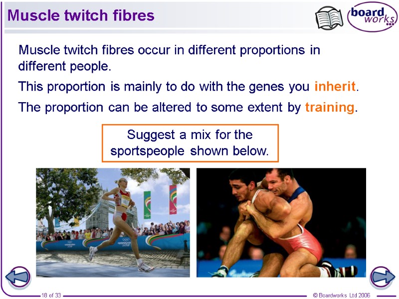 Muscle twitch fibres Muscle twitch fibres occur in different proportions in different people. This